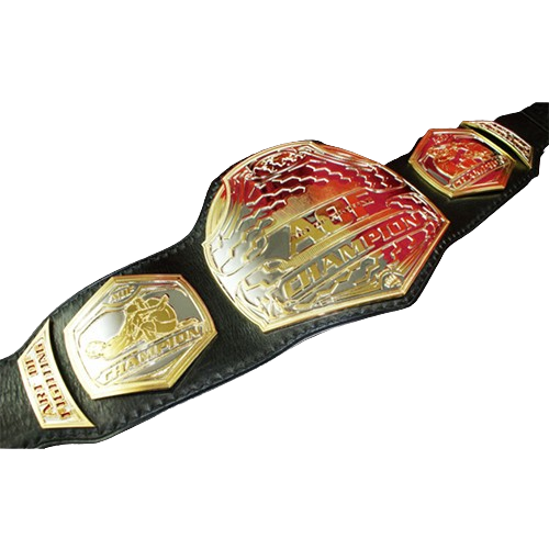 MMA Art of Champion Belt