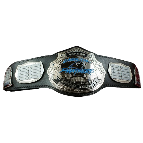 Carolina Panthers NFL Championship Belt