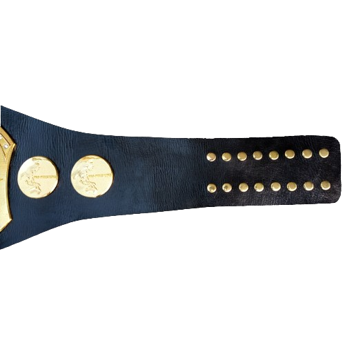 IJ WAR Junior Heavyweight Championship Belt