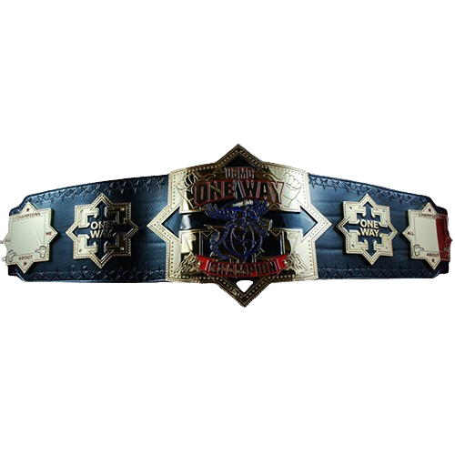 ONE WAY Wrestling Championship Belt