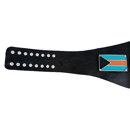 NWA Bahama Island Wrestling Belt
