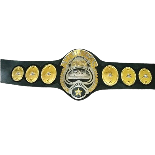 NWA Jack Brisco Wrestling Belt