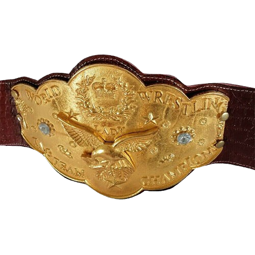 NWA Women's Tag Team Belt Replica