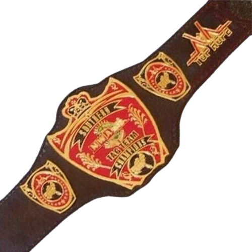 NWA Southern Tag Team Replica Belt