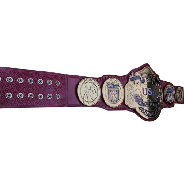 NWA USA Tag Team Championship Belt