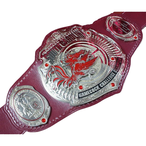 South Carolina Gamecocks Basketball Challenge Belt