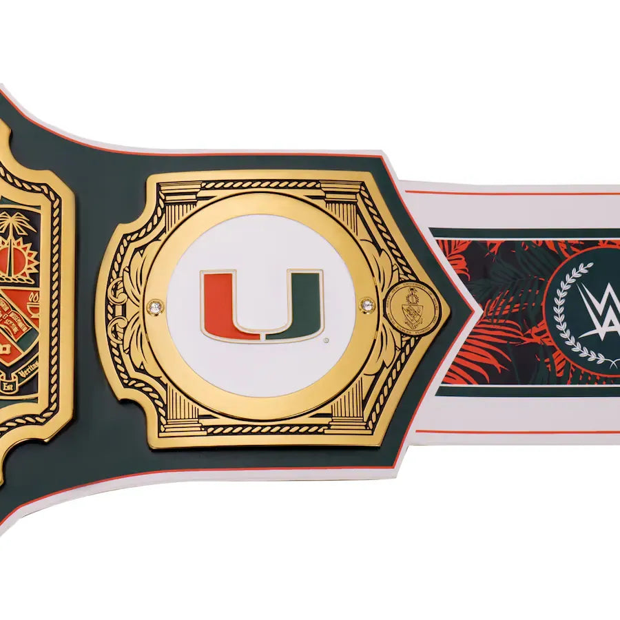 WWE Miami Hurricanes Championship Belt