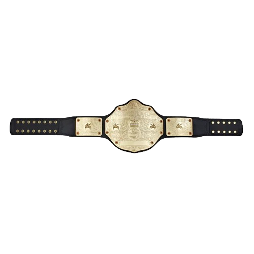 WWE Big Gold World Championship Belt