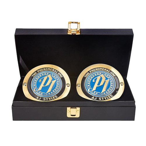 AJ Styles WWE Championship Box Set