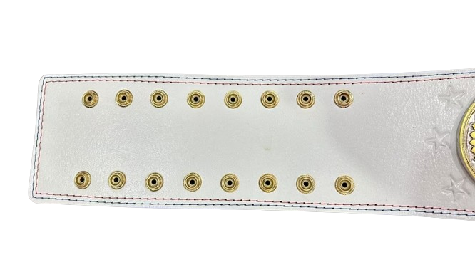 WWE Cody Rhodes Championship Belt