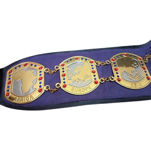 NWA International Tag Team Belt