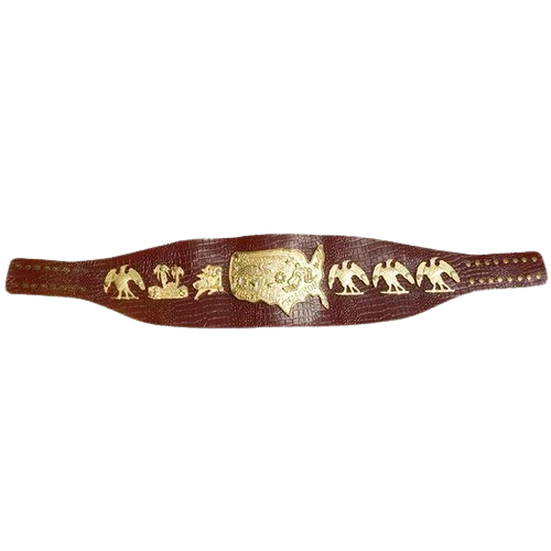 NWA Mid-Atlantic USA Heavyweight Belt