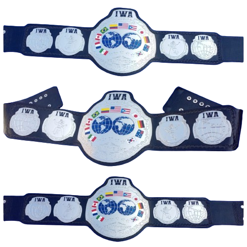 IWA Florida Heavyweight Wrestling Belt