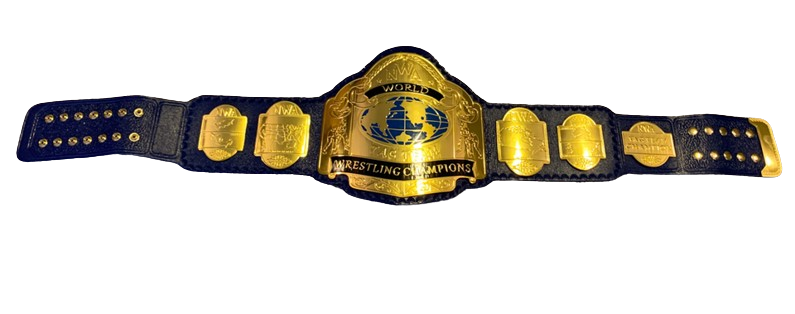 NWA Tag Team Wrestling Belt