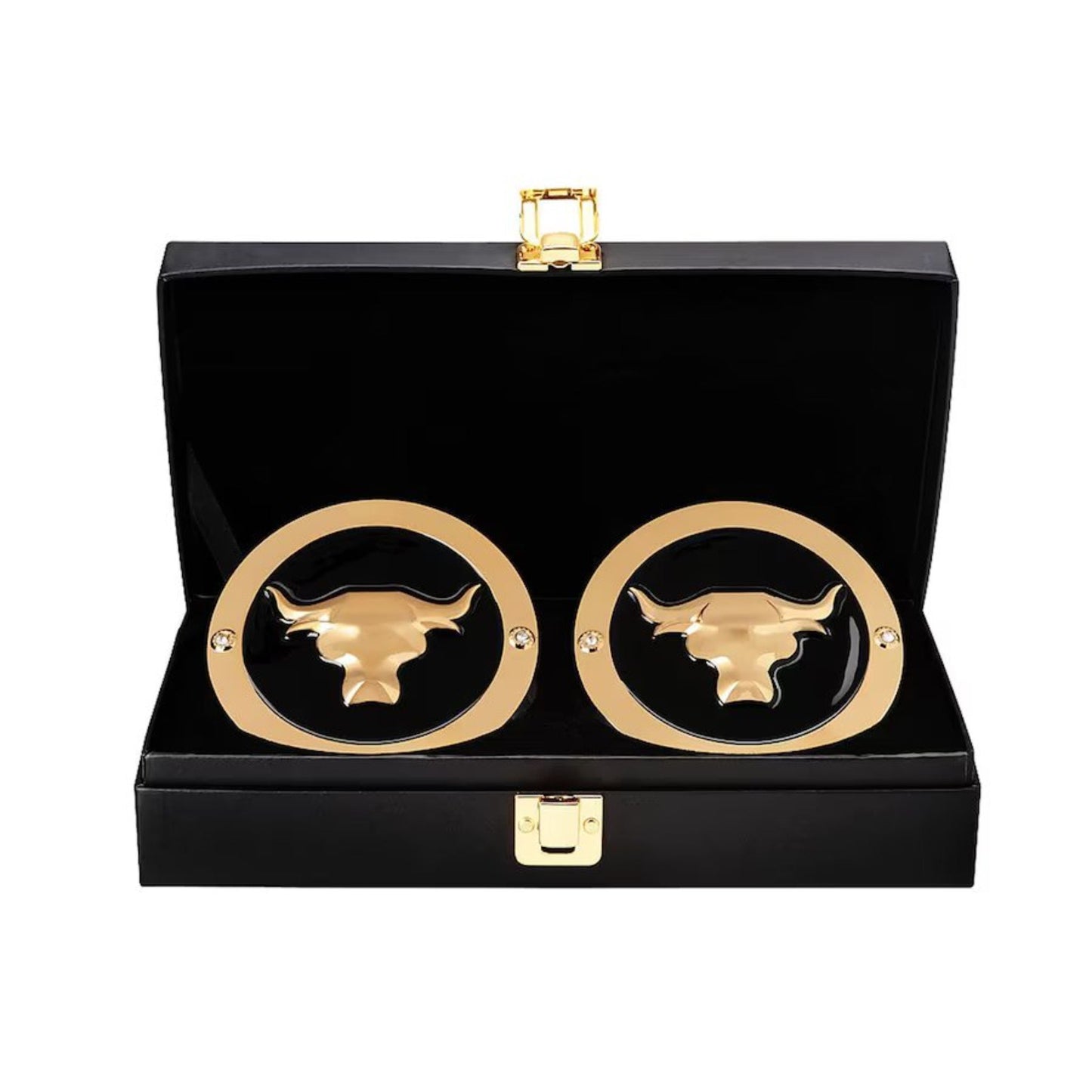 The Rock WWE Championship Plates Set