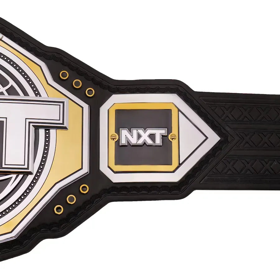WWE NXT 2024 Championship Belt