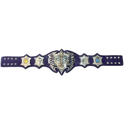 Jeff Hardy MMA Championship Belt