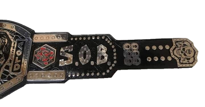Steve Austin WWE Championship Belt