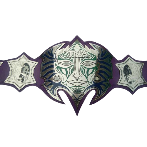 Jeff Hardy MMA Championship Belt