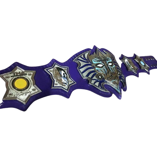 Jeff Hardy MMA Championship Belt