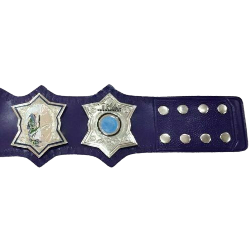 Jeff Hardy MMA Championship Belt