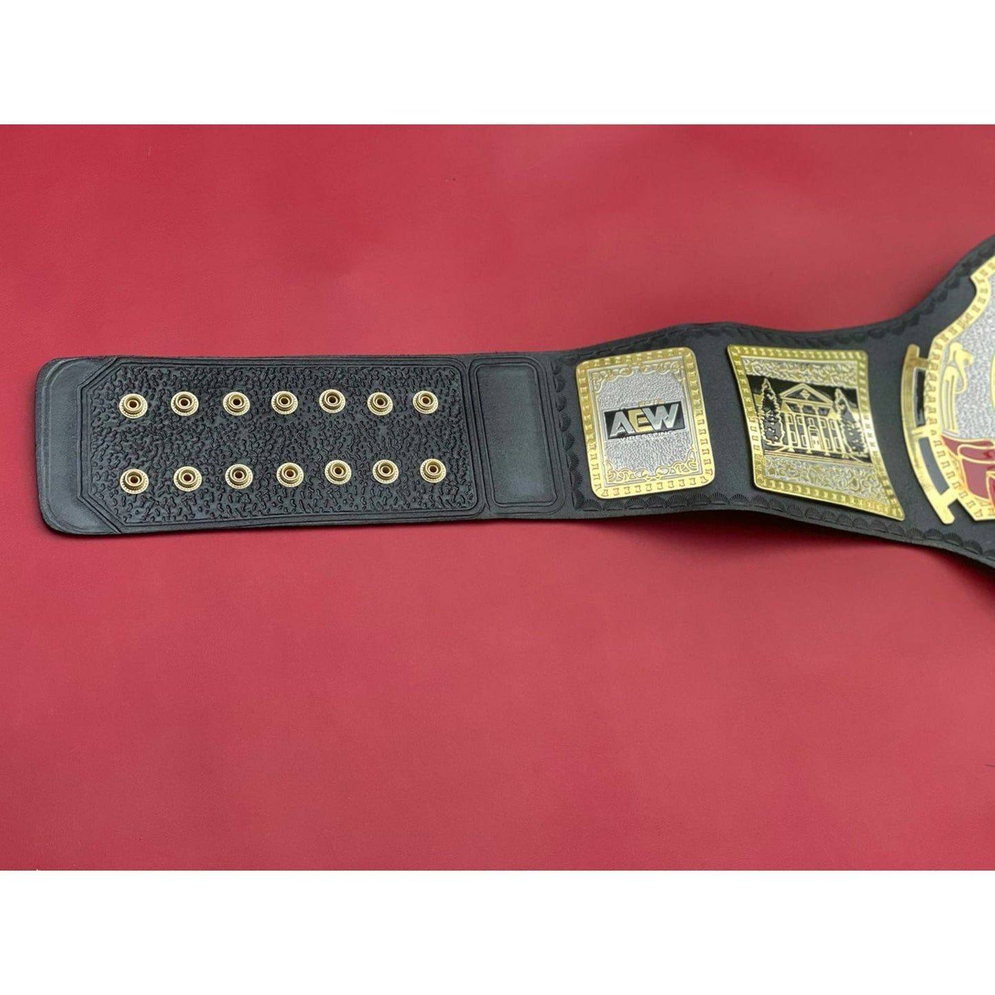 AEW TNT Championship Wrestling Belt