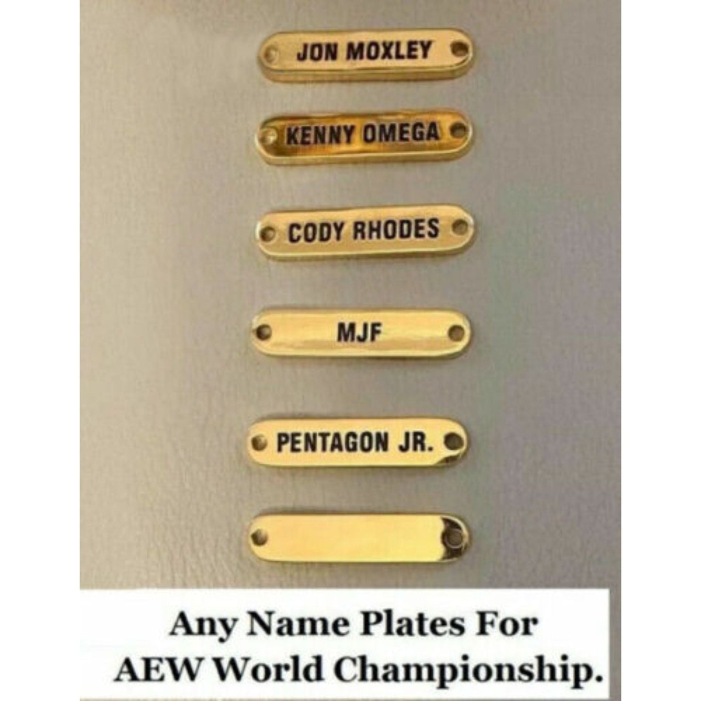 AEW World Wrestling Championship Belt