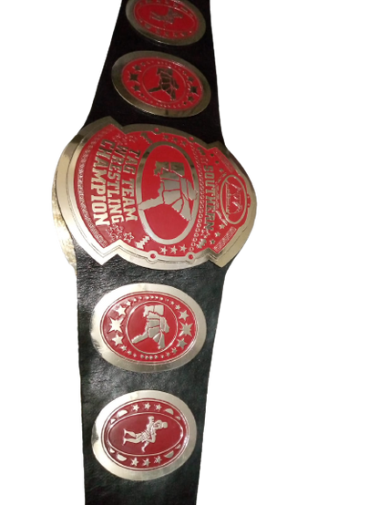 AWA Southern Tag Team Championship Belt