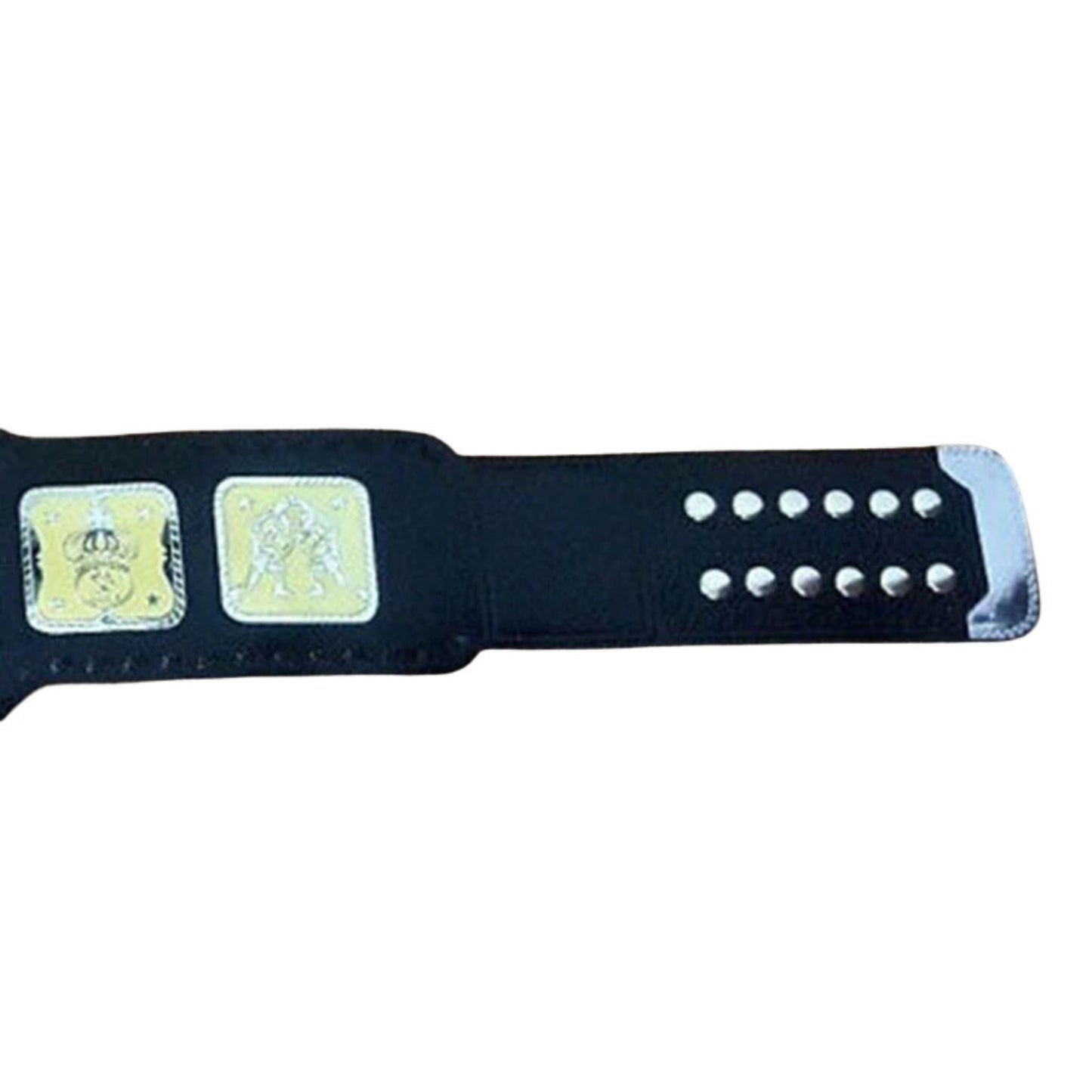 AWA World Tag Team Belt