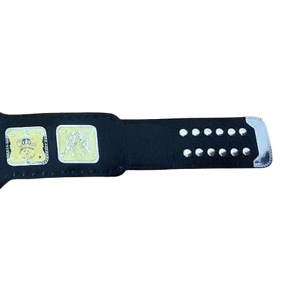 AWA World Tag Team Belt