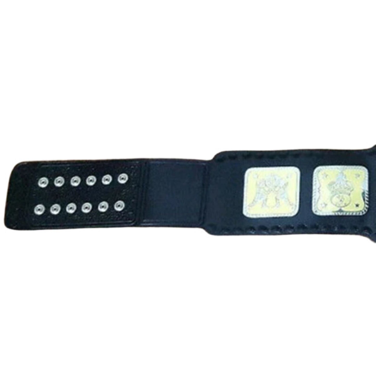 AWA World Tag Team Belt