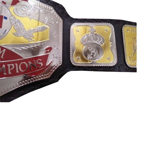 AWA World Tag Team Belt