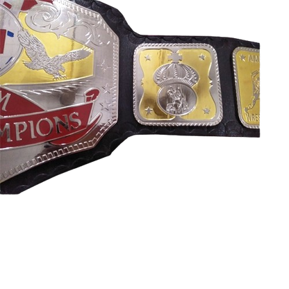 AWA World Tag Team Belt