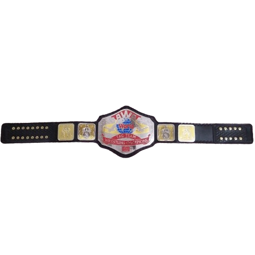 AWA World Tag Team Belt
