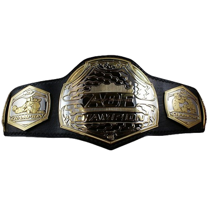 MMA Art of Champion Belt
