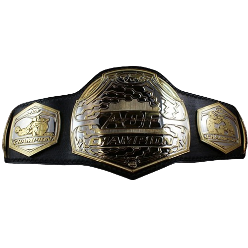 MMA Art of Champion Belt
