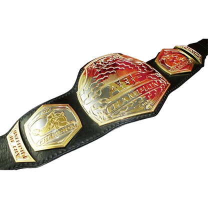 MMA Art of Champion Belt