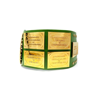Big Green Wrestling Championship Belt