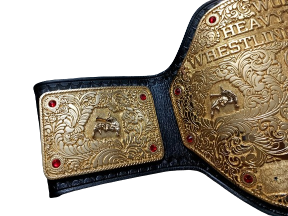 Big Gold WCW Heavyweight Belt