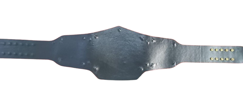 WWE Bray Wyatt Universal Belt