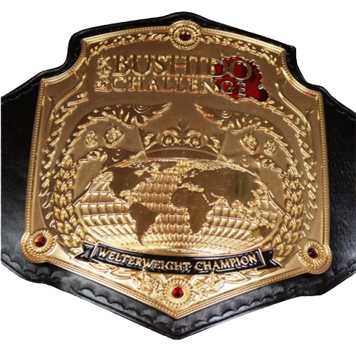 Welterweight Wrestling Championship Belt