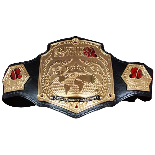 Welterweight Wrestling Championship Belt