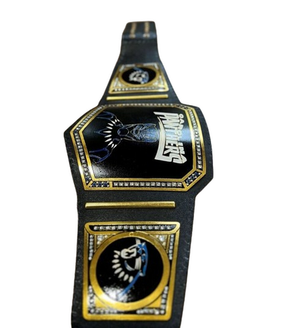 Carolina Panthers Wrestling Championship Belt