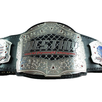 Destiny MMA Championship Belt