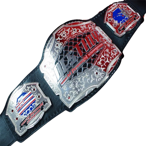 Destiny MMA Championship Belt