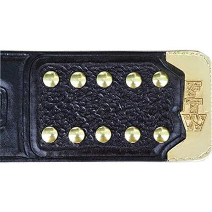 ECW World Heavyweight Championship Belt