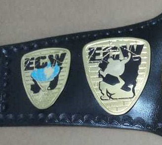 ECW World Television Championship Belt