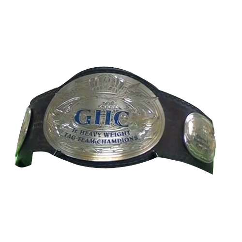 Pro Wrestling NOAH GHC Junior Tag Belt