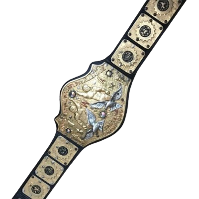 IWA International Tag Team Belt