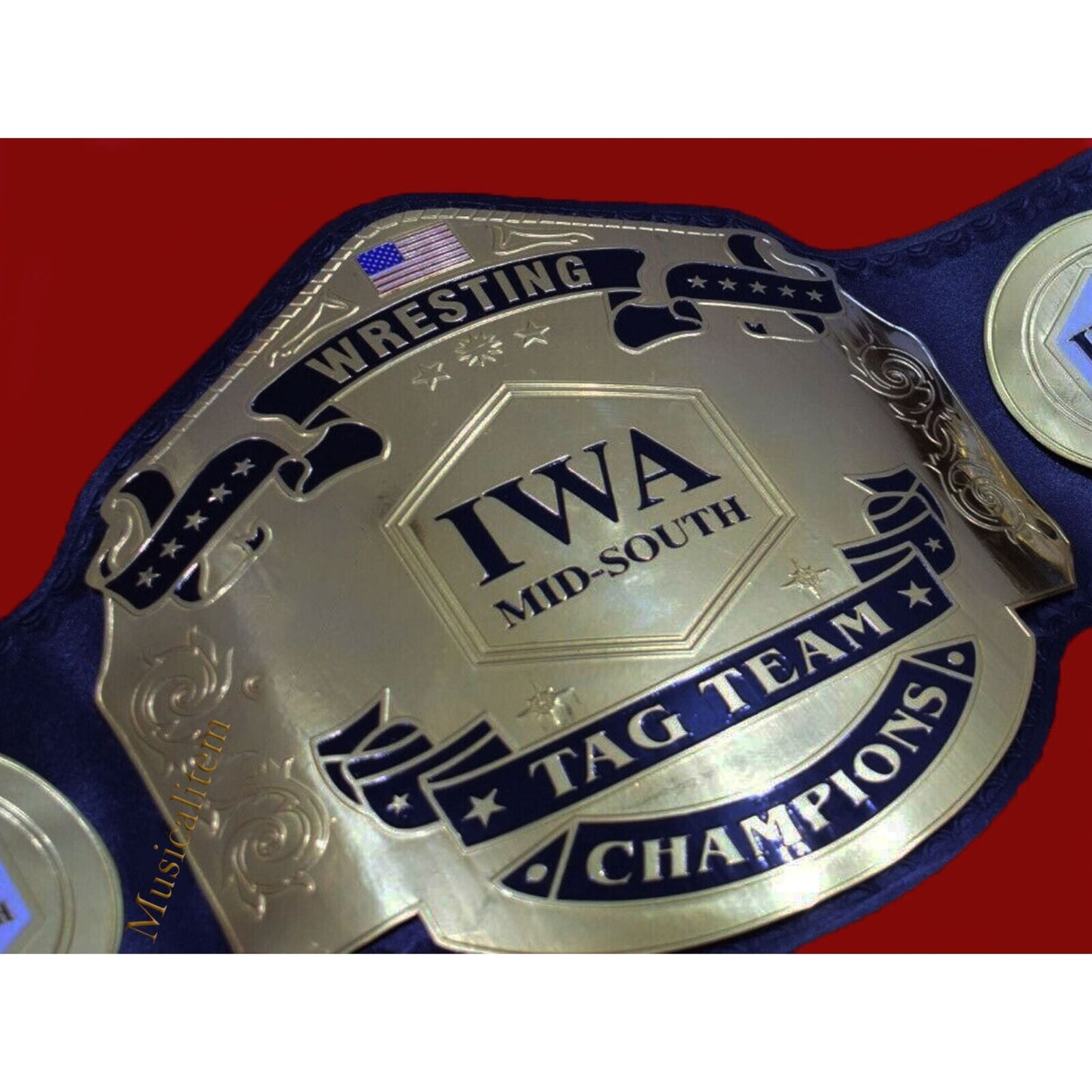 IWA Mid South Tag Team Belt